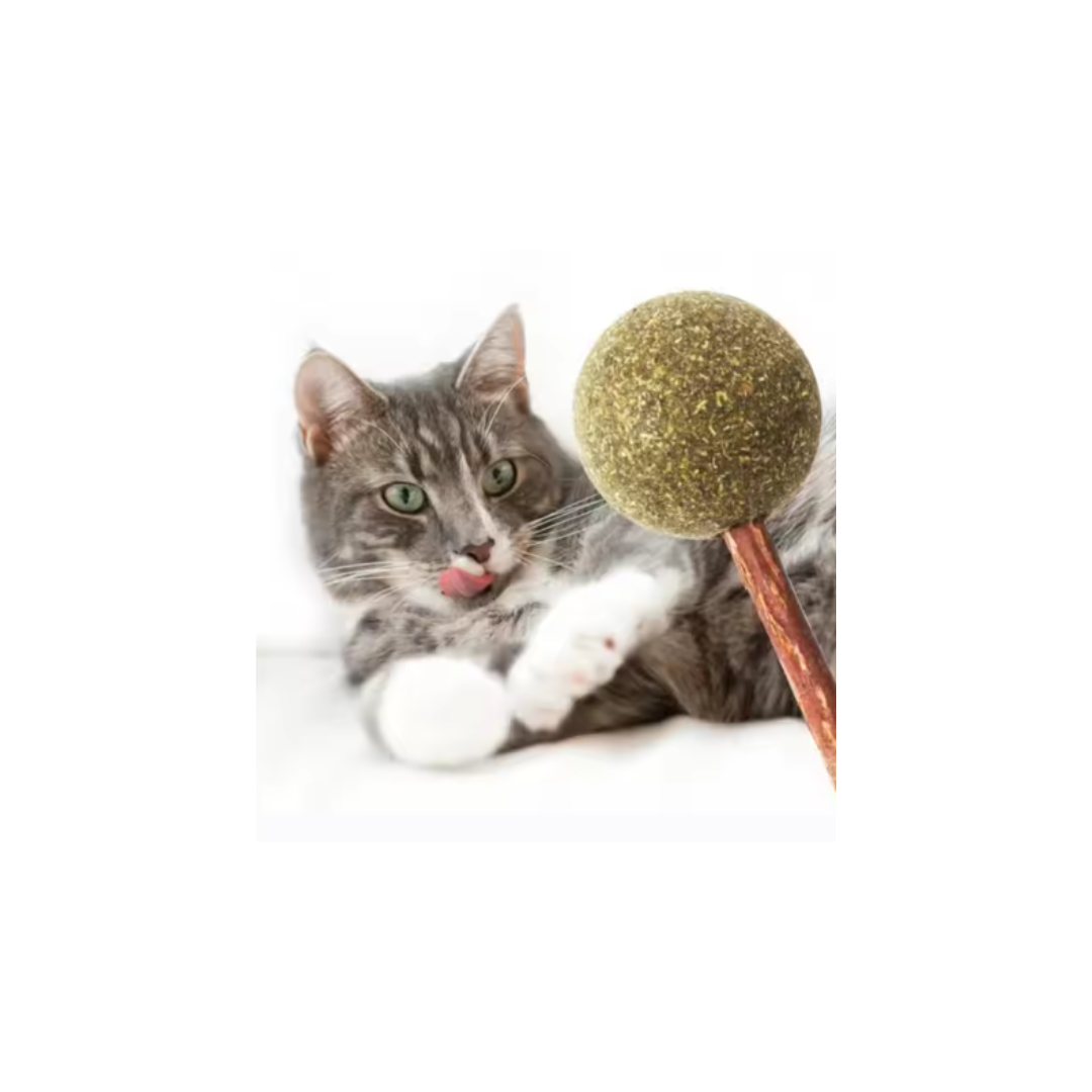 Pelota de Catnip para Gatos + 4 Catnip de regalo 🎁